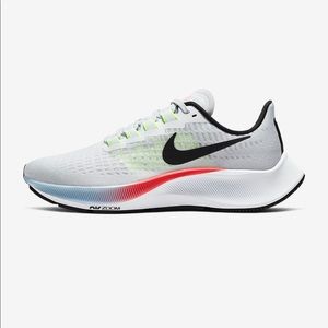 Nike Zoom Pegasus shoes